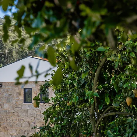 Casa Gondiga *